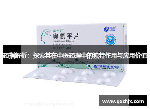 药指解析：探索其在中医药理中的独特作用与应用价值